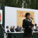 Városi Ballagás - Pápa - 2015