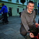 Flashmob az Állatok Világnapján - Pápa