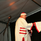 Szent Márton-napi Újbor Ünnepe - Pápa - 2018