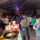 Pápai Csülök Cicege és Bor Fesztivál (2017) - Zséda Koncert