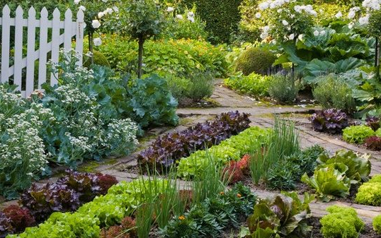 Keresik a legszebb konyhakertet