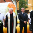 Pápai Játékfesztivál - Szombat Délutáni Programok