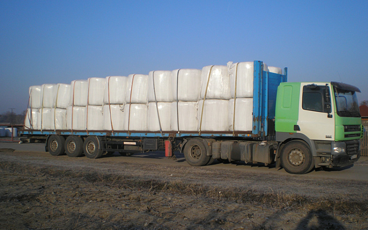 Magyar és ausztriai sértetteket is megkárosított