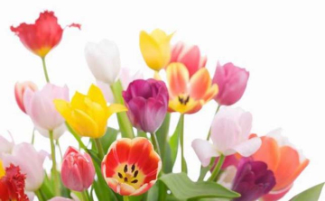 Köszöntse édesanyját a mai napon, de ne csak ma szeresse!