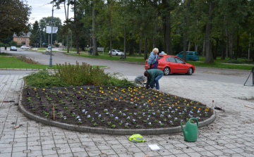Megkezdte az őszi növénytelepítéseket a Városgondnokság