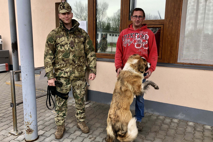 Kóborló kutyát mentett a pápai katona