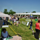 2 x CAC Nemzeti Kutyakiállítás – Pápa