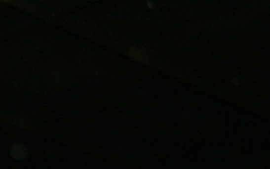 Felakasztotta magát egy férfi a Várkertben