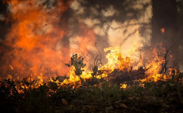 Több mint 600 tűzoltó sem bírt a lángokkal az amerikai Montana államban 
