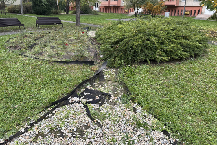 Önkéntesek figyelem! Több helyen lehet majd segíteni a város szebbé tételében