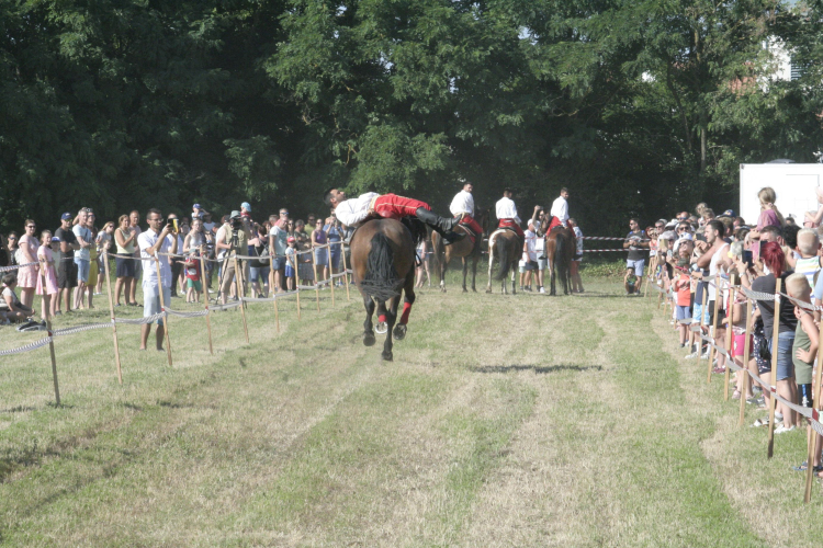 Jótékonysági Sport és Családi Nap - Tapolcafő