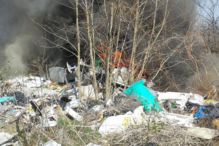 Szemétlerakó gyulladt ki a Téglagyári útnál