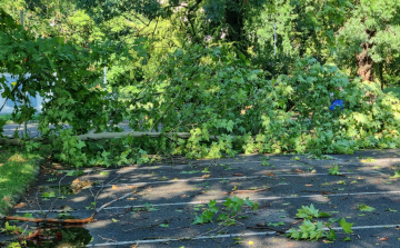 Brutális erővel csapott le a vihar Pápára és környékére