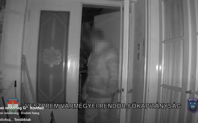 Autógumikat lopott, elfogták