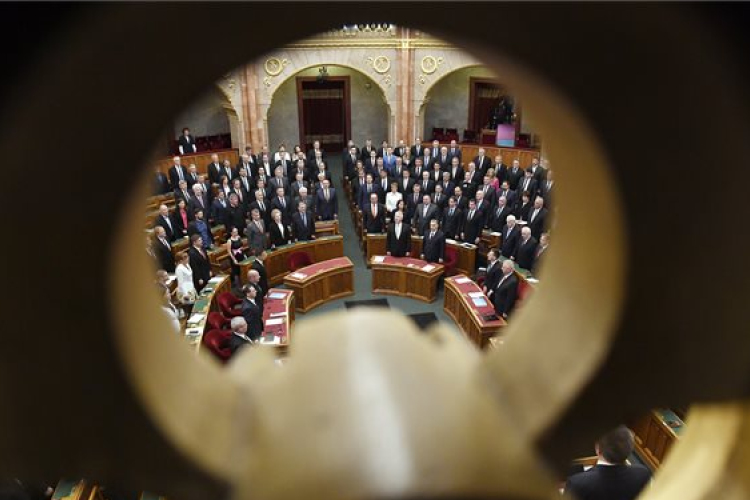 Az állatvédelmi törvény szigorításáról tárgyal a parlament