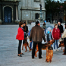 Flashmob az Állatok Világnapján - Pápa