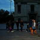 Flashmob az Állatok Világnapján - Pápa