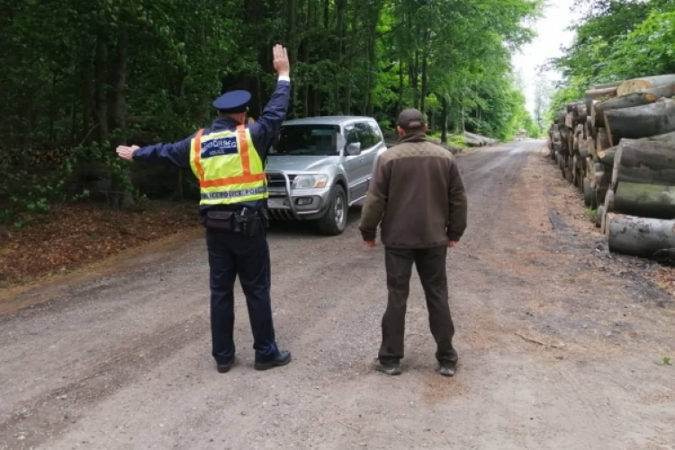 A pápai rendőrök erdészekkel és vadőrökkel közösen ellenőrizték a bakonyi erdőket