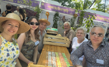 A Sziget Fesztiválon járt a Tapolcafői Kertbarátkör
