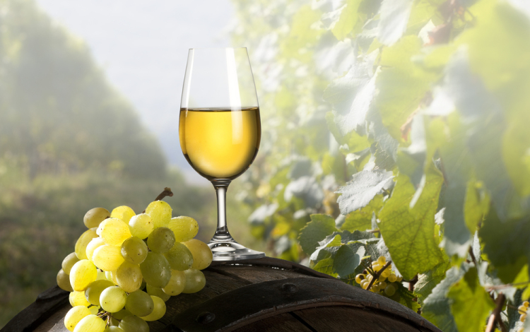 Jó szüretre lehet számítani megyénkben