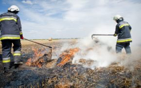 Több hektáron ég a tarló Pápa mellett