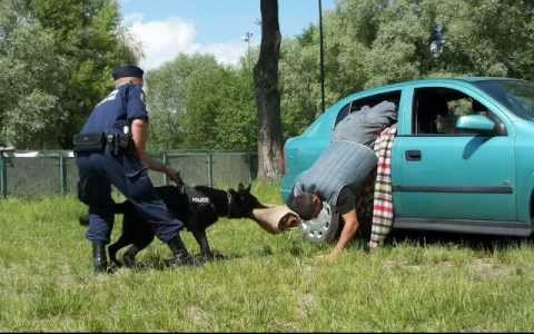 Rendőrkutya akadályozta meg a szökést