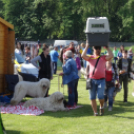 2 x CAC Nemzeti Kutyakiállítás – Pápa