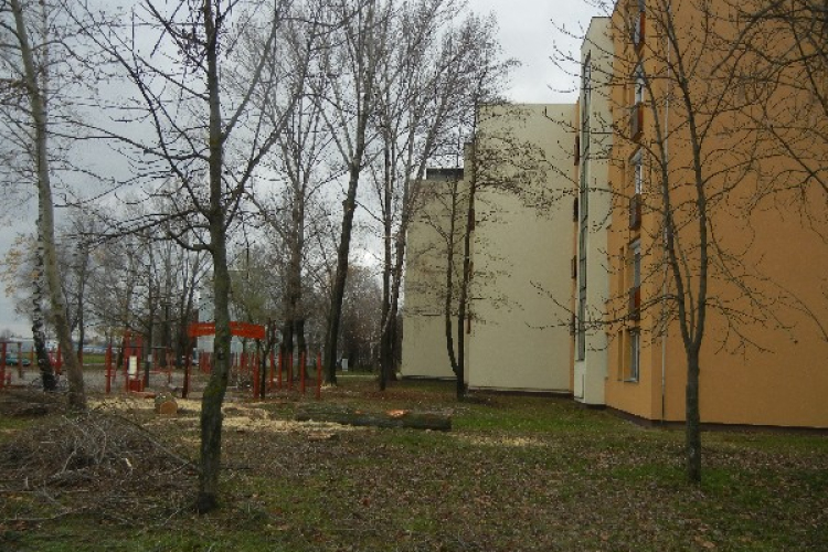 Megkezdődött az Igal lakótelep rendezése