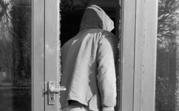 Meglopta édesanyja albérlőjét