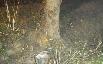 Fának ütközött egy autó Csót és Béb között