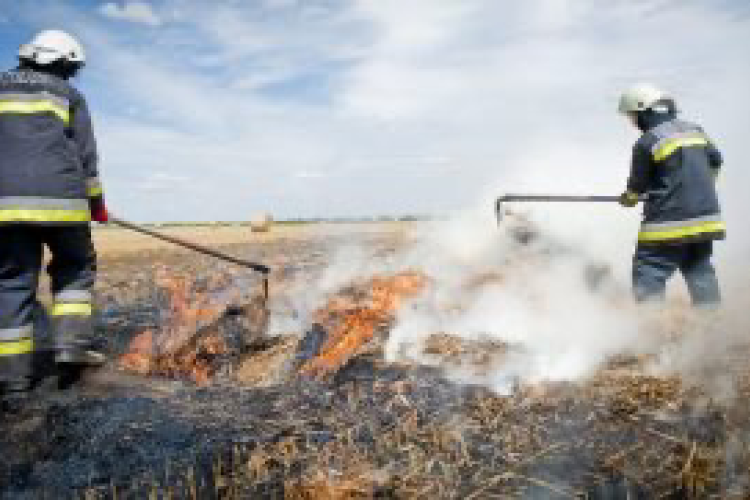 Több hektáron ég a tarló Pápa mellett