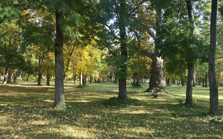 Kezdődik a kivitelezés a Várkertben