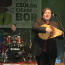 Pápai Csülök Cicege és Borfesztivál - Borszombat