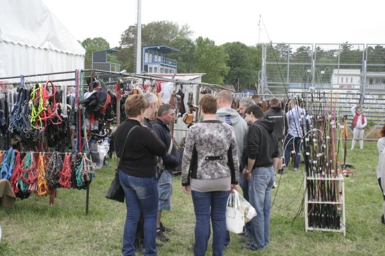 Pápai Agrárexpo 2017 - Szombat
