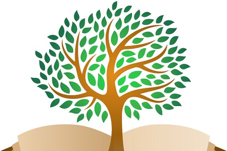 Érettségi akár 1-2-3 év alatt Pápán, a Tudásfa Gimnáziumban