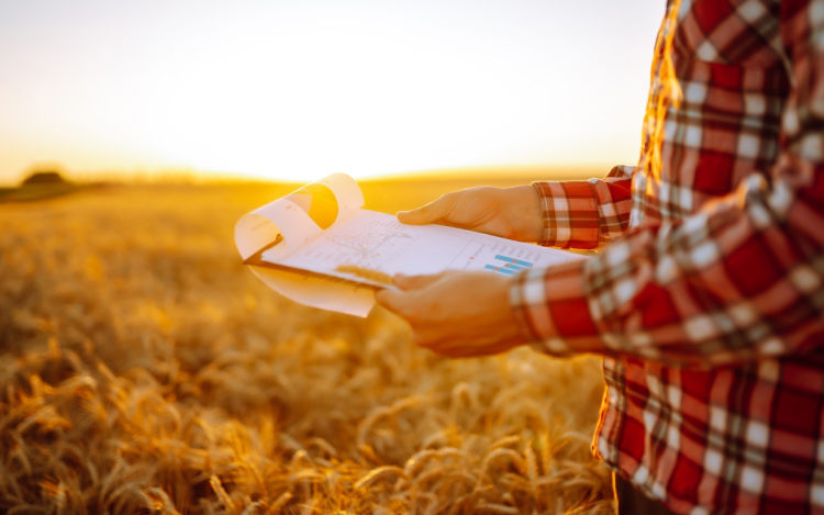 Föld adásvétel lépésről lépésre – hogyan működik az elővásárlási jog a gyakorlatban?