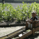 30. Pápai Játékfesztivál - Vasárnap Délután