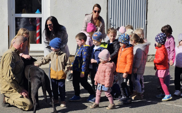Rendőrkutyák az óvodában