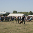 Családi Nap a Pápai Bázisrepülőtéren - 2021