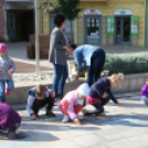 Autómentes Nap - Pápa