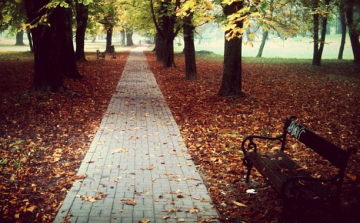 Fegyházat kaptak a várkerti rablók