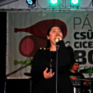 Pápai Csülök Cicege és Bor Fesztivál (2017) - Szombat - Hot Jazz Band