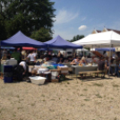 XX. Pápai Agrárexpo - Szombat