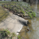 Árad a Bakonyér és a Gerence