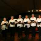 Szent Márton napi Újbor Ünnepe - Szombat