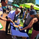 Jó idő és kiváló hangulat a Városrészi Majálison