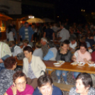 Pápai Csülök Cicege és Bor Fesztivál (2017) - Zséda Koncert