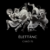 Élettánc - Kiállítás a Pannonia Reformata Múzeumban