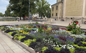 Virágos Magyarország verseny - Tájépítészeti díjat kapott Pápa