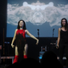 Pápai Csülök Cicege és Bor Fesztivál (2017) - Zséda Koncert